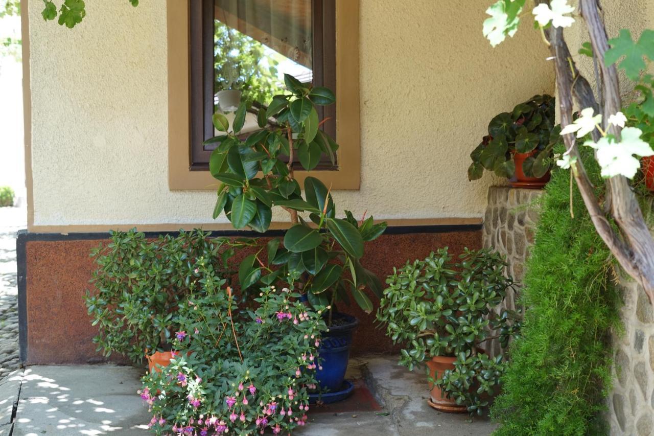 Casa Ciortea Ana 시비엘 외부 사진